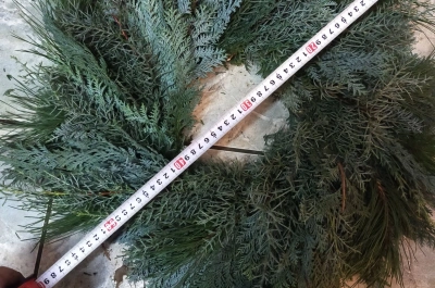 Florăria Fraților Torok – flori, plante și aranjamente florale în Sighetu Marmației