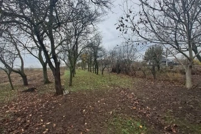 Casă 2 camere decomandate, teren 1.700 mp, utilități, zonă liniștită